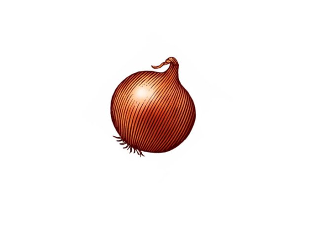 onion 3